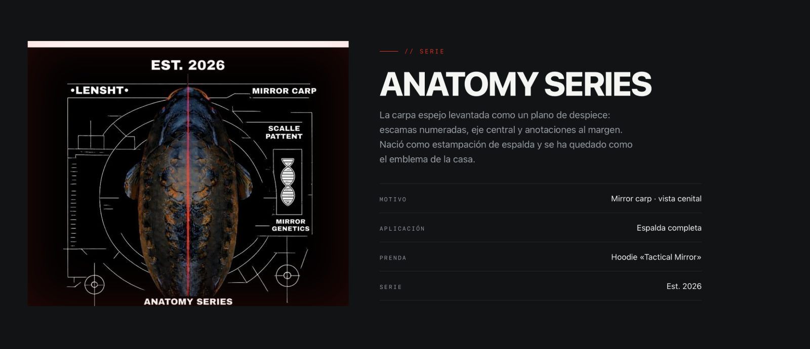Portada de la tienda Carp Code